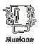 musicos